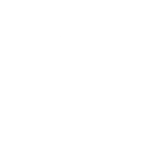 Team Secret